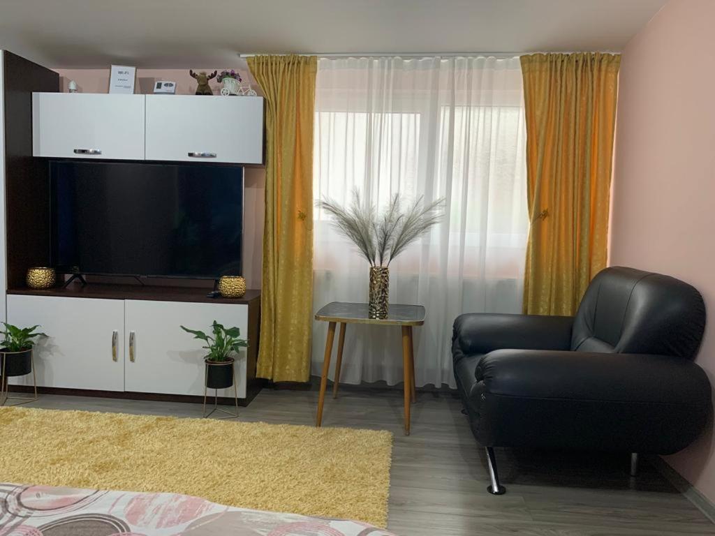 Garsoniera Madalina Daire Sibiu Dış mekan fotoğraf