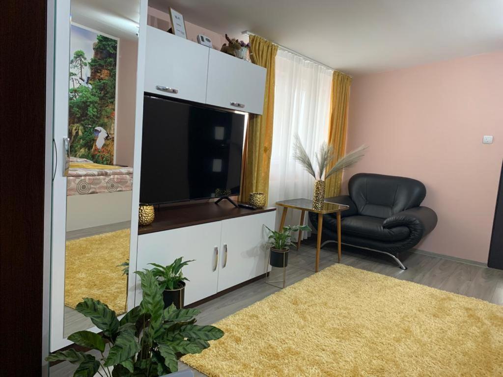 Garsoniera Madalina Daire Sibiu Dış mekan fotoğraf