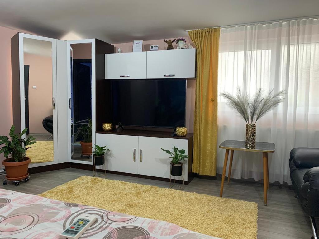 Garsoniera Madalina Daire Sibiu Dış mekan fotoğraf