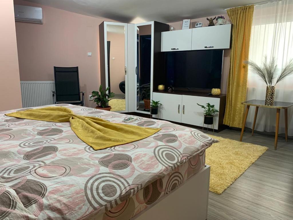 Garsoniera Madalina Daire Sibiu Dış mekan fotoğraf